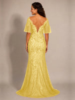 Mermaid Mother of the Bride Dress with V-neck 