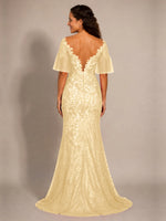 Mermaid Mother of the Bride Dress with V-neck 