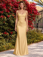 Mermaid Prom Dress with Sequin Appliques 