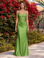 Mermaid Prom Dress with Sequin Appliques 