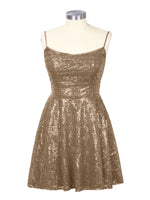 Sequin Scoop Neckline Mini Dress 