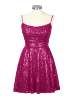 Sequin Scoop Neckline Mini Dress 
