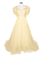 Illusion Tulle Applique Wedding Dress 