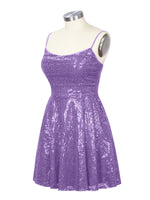 Sequin Scoop Neckline Mini Dress 