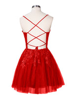 Applique Soft Tulle Mini Dress 