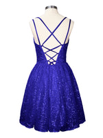 Sparkly Sequined A-line Mini Dress 