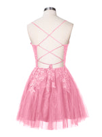 Applique Soft Tulle Mini Dress 