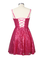 Sequin Scoop Neckline Mini Dress 