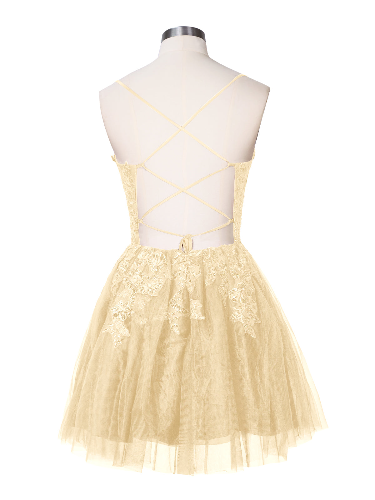 Applique Soft Tulle Mini Dress 