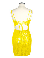 Double Spaghetti Bodycon Mini Dress 