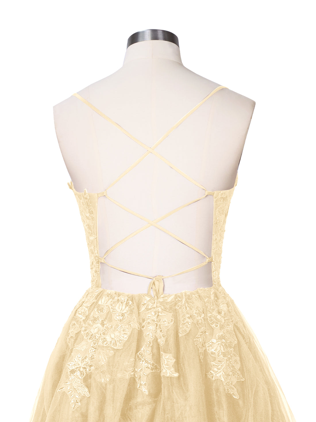 Applique Soft Tulle Mini Dress 